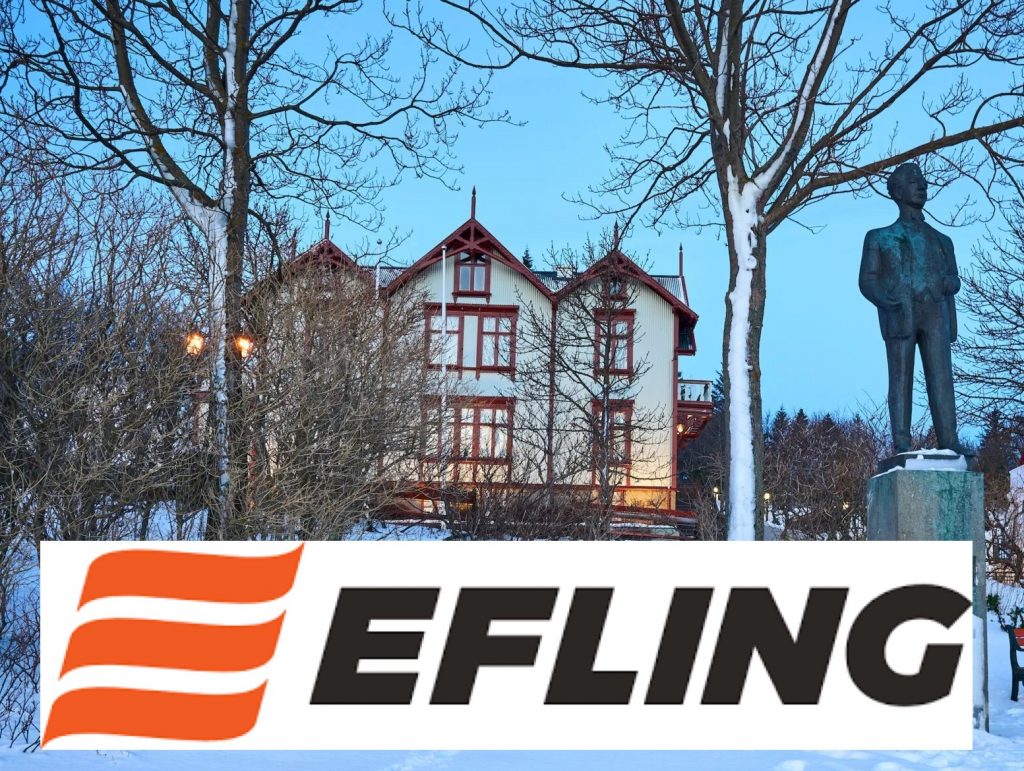Efling boðar til mótmæla fyrir utan ríkisstjórnarfund