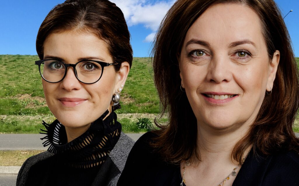 Þetta er kenningin á allra vörum um hvað Bjarni Ben er að reyna að gera