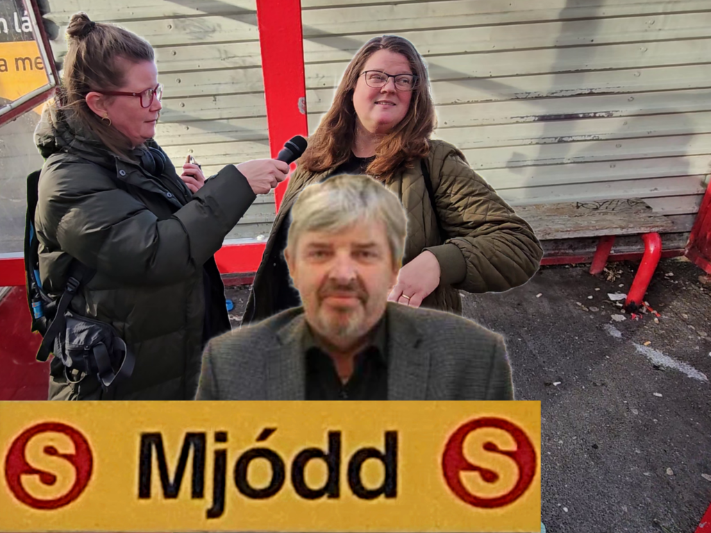 Erla segir „ekki mjög góða lykt í sumum biðskýlum“