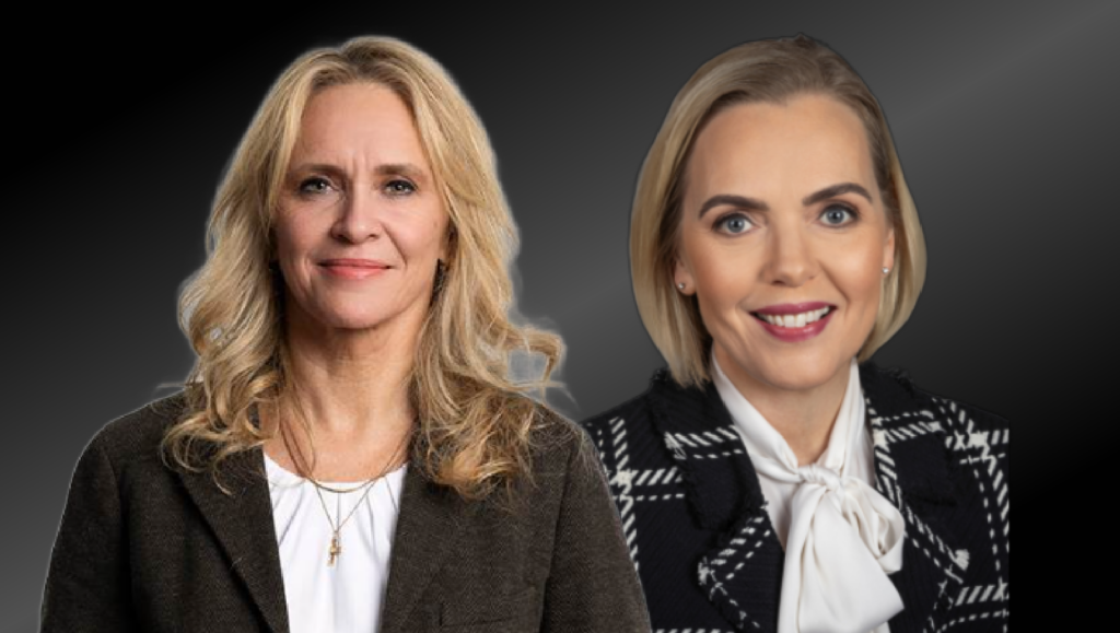 Er háttvirtur þingmaður að leggja þá til að það verði hætt að veita m.a. styrki í stjórnmálaflokka?