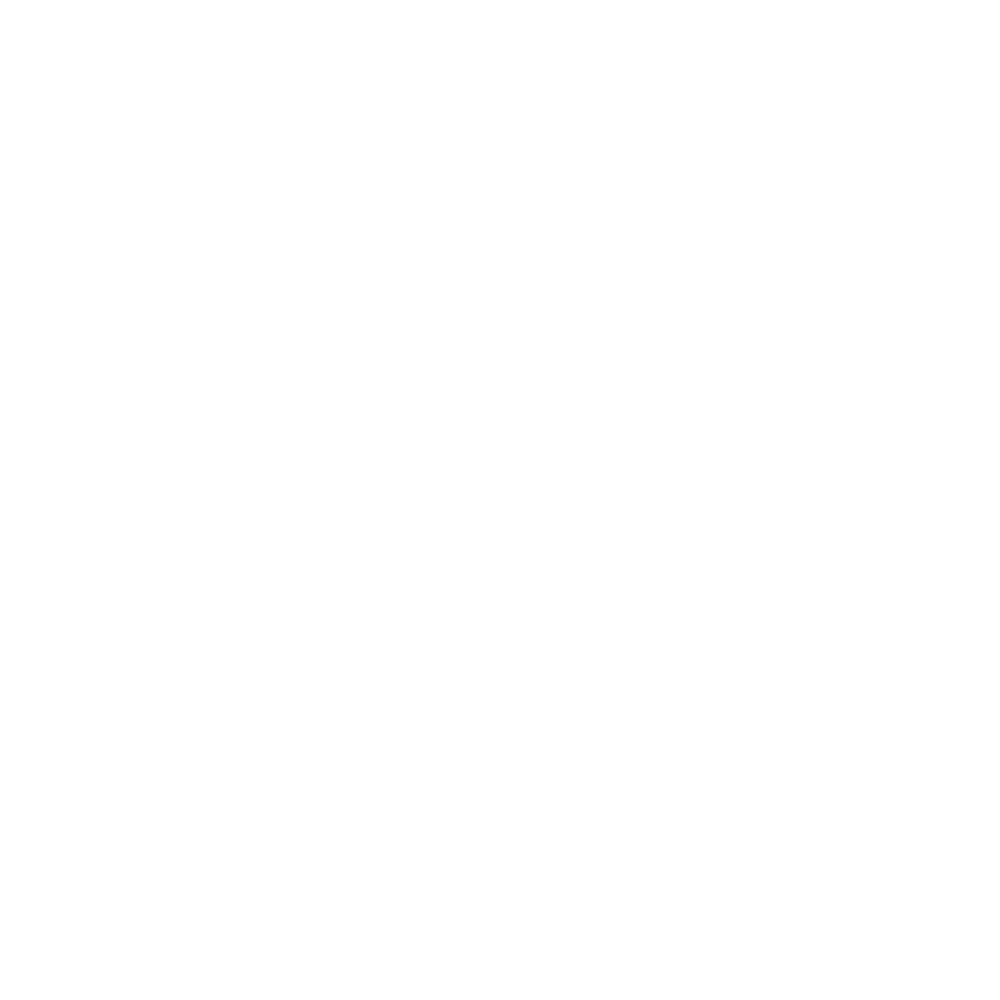 Fréttatíminn