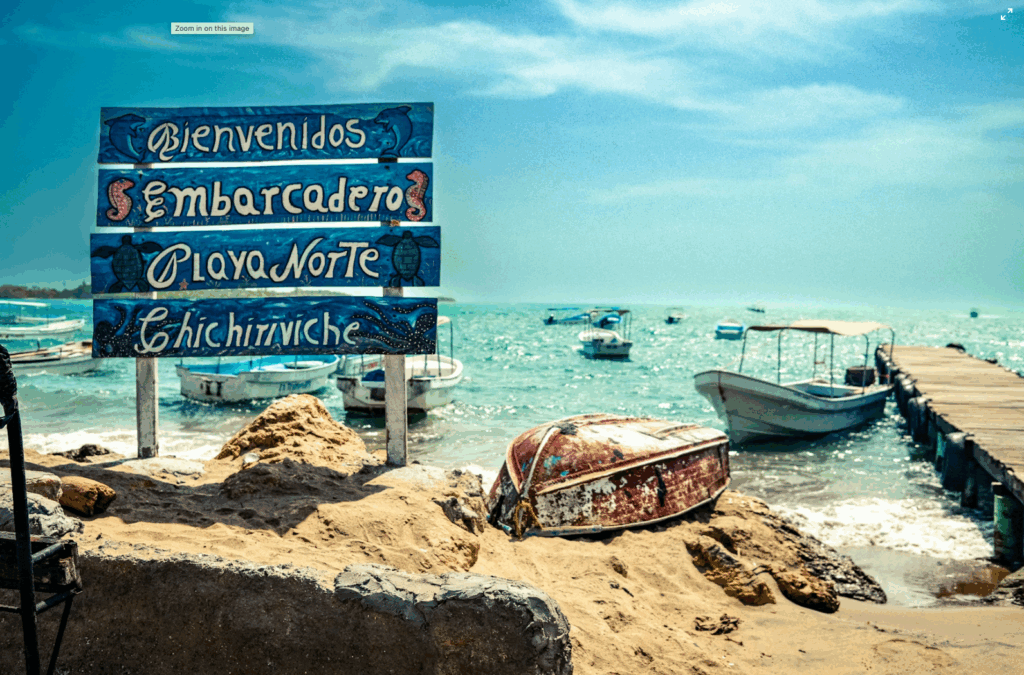 Mun færra flóttafólk leitar hælis á Íslandi