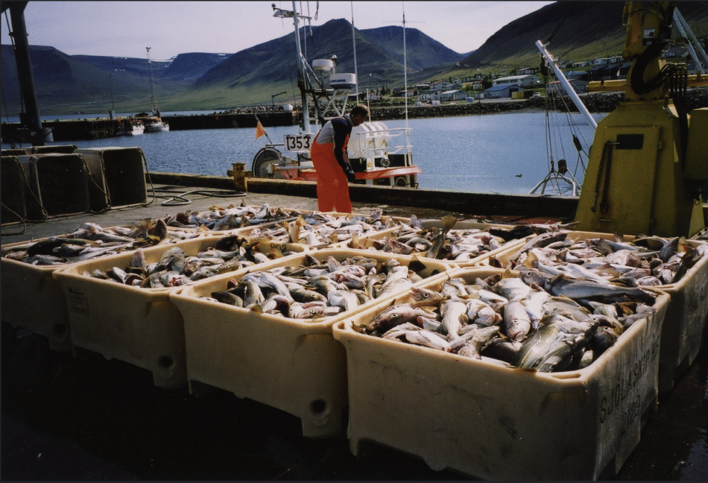 Sjálfbærni, fiskmarkaðir, heimavigtun/endurvigtun og þjóðareign auðlinda